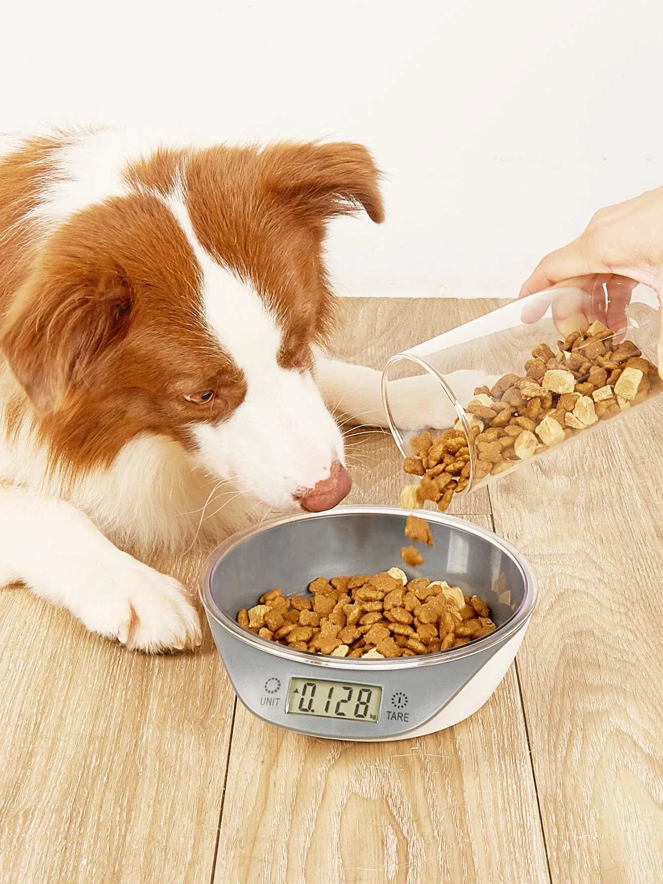 1pc Digital Scale Pet Feeding Bowl