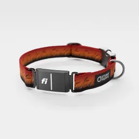 Fi GPS Included Marsh Orange Everyday Collar (6 month subscription)